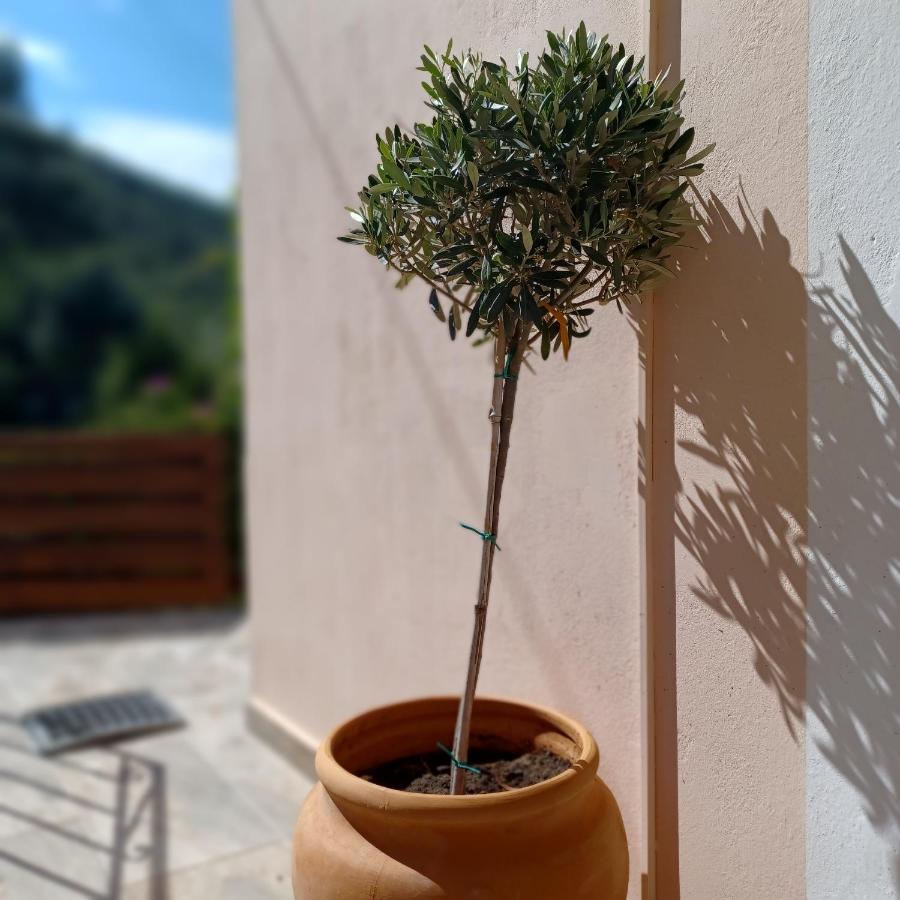 Μπουκαμβίλια - Bougainvillea Syvota Exterior foto